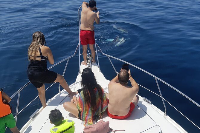 2 Hours Dolphin Watching in Marbella - Snorkel Gear, Fish Watching, and Getting Off the Boat