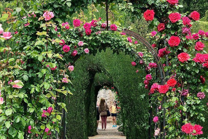Alhambra Private Tour from Marbella: with Transport and skip-the-line tickets - Carlos V and the Muslim palace core: see the cultural layers in one flow