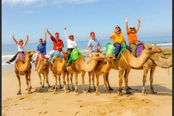 Authentic Private Tangier Tour from Estepona Camel Ride & Lunch - Quick hits before you go