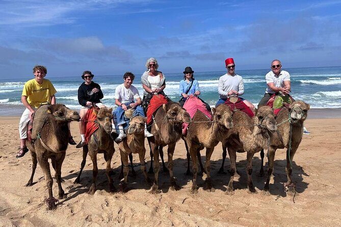 Authentic Private Tangier Tour from Estepona Camel Ride & Lunch - Tangier with Ali-style guiding: Mosque, Marshan Palace, and Casbah views