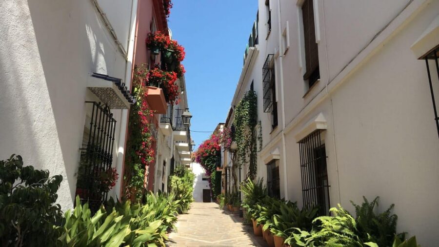 Best of Málaga: Private Walking Tour with a Local - Calle Larios: the shopping street stop that feels like real life