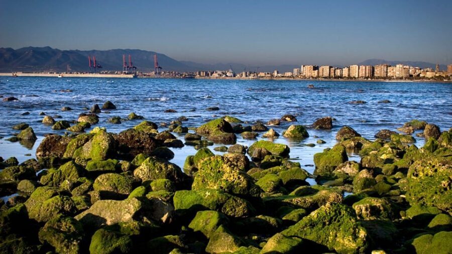 Best of Málaga: Private Walking Tour with a Local - Tapas, wine, and beach navigation: the practical tips that change your whole trip