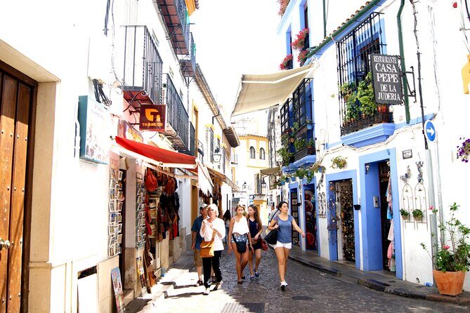 Cordoba and its Mosque from Málaga with Private Transfer - Private Transfer From Málaga: What the Day Actually Feels Like