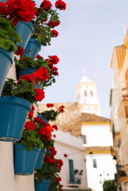 Discover Marbella's Old Town with five-star private tour - Alameda Park and Plaza Altamirano: setting the scene the right way