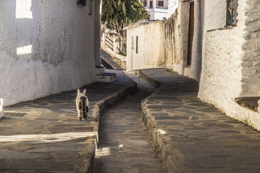 Discovering Las Alpujarras from Málaga - SemiPrivate - What to pack and how to make the day feel easy