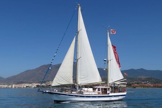 Dolphin Watching Adventure in Estepona Bay - The 1 hour 45 minutes afloat: what happens during the trip
