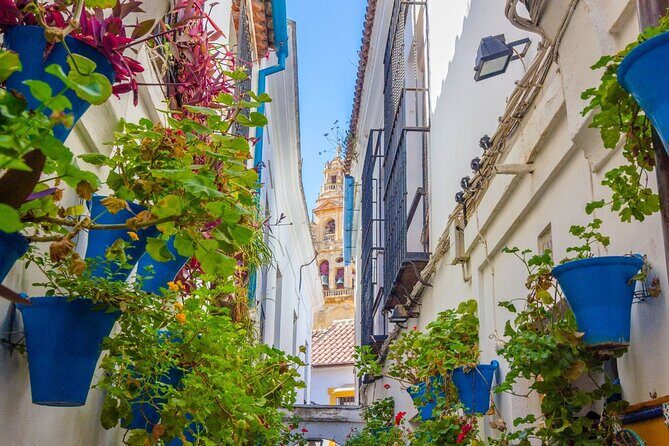 Excursion to Córdoba from Malaga - Málaga to Córdoba by coach: the morning ride that sets your pace