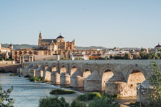 Excursion to Córdoba from Malaga - Jewish Quarter wandering: cobblestones, whitewashed walls, and flower power