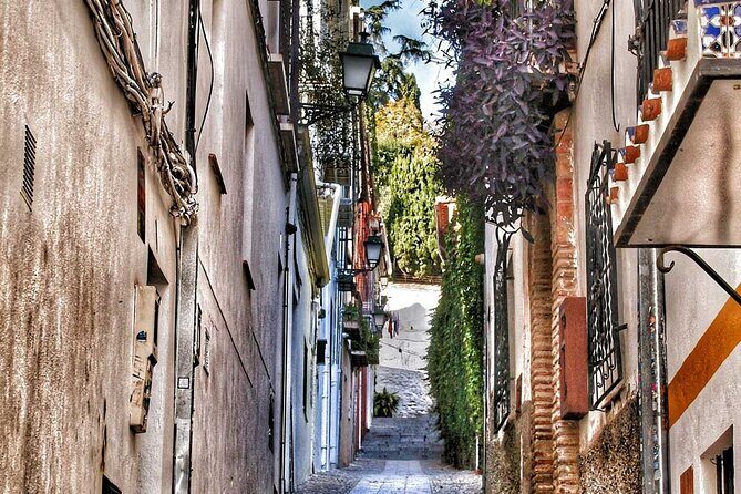 Excursion to Granada from Malaga - Granada Without a Guided Tour: Making Alhambra Work When Tickets Are on You