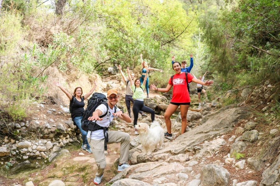 Explore Marbella's Nature: Guided Hiking And Foraging Trip - Walking Into Marbella’s Hills: The Sierra Blanca Experience