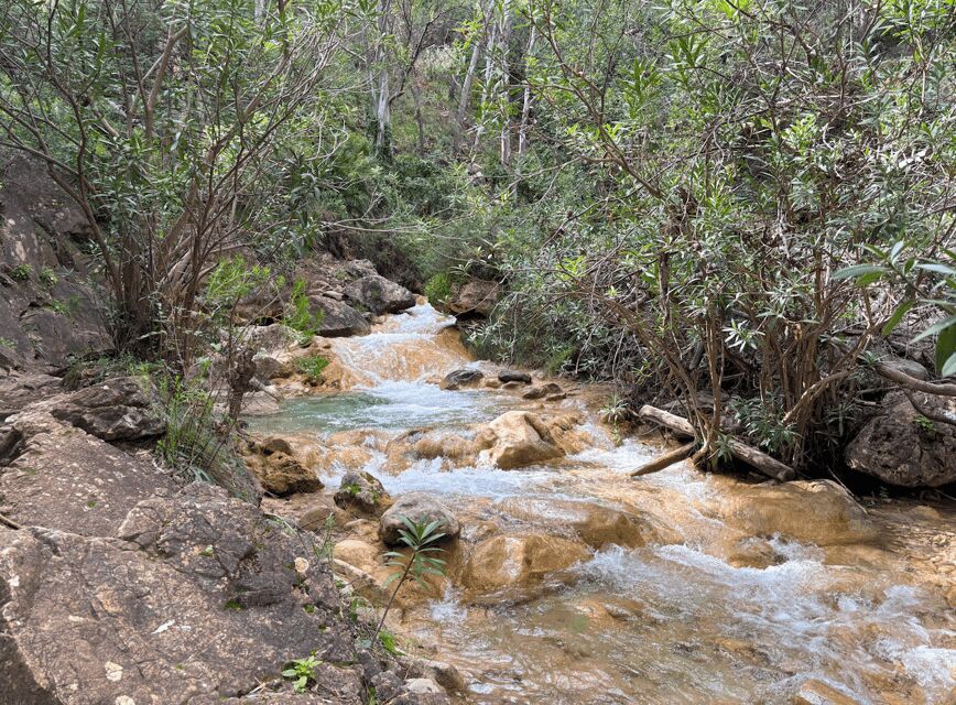 Explore Marbella's Nature: Guided Hiking And Foraging Trip - Price and What You’re Really Paying For