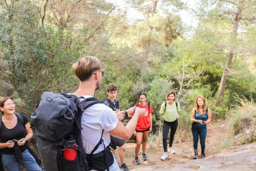 Explore Marbella's Nature: Guided Hiking And Foraging Trip - Foraging Basics Without the Guesswork
