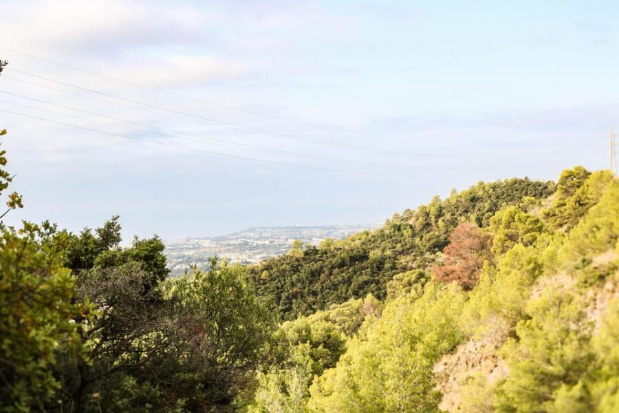 Explore Marbella's Nature: Guided Hiking And Foraging Trip - Stop 4: The Final Hour Back Down (or Up Again)