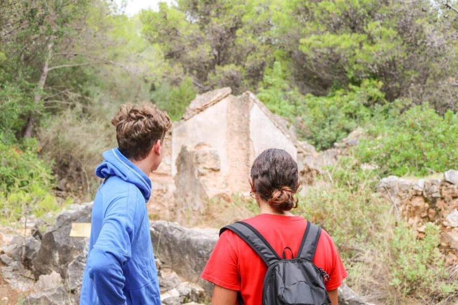 Explore Marbella's Nature: Guided Hiking And Foraging Trip - Included Extras That Make the Tour Feel Like More Than a Walk