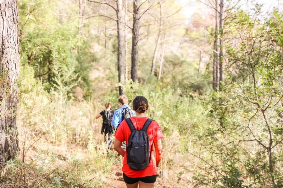 Explore Marbella's Nature: Guided Hiking And Foraging Trip - Who This Hiking and Foraging Trip Is Best For