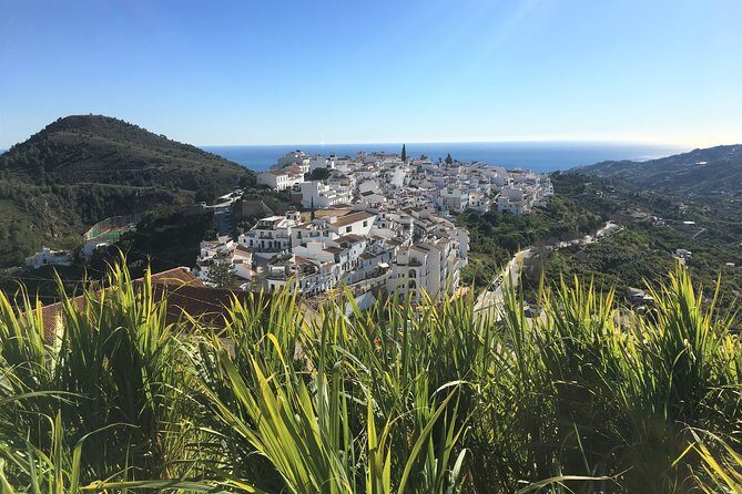 Frigiliana Small-Group Hike and Wine Tasting Tour from Malaga - Getting From Malaga Center Without the Headache