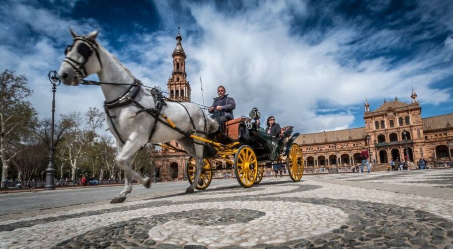 From Costa del Sol: Seville and Royal Alcázar Palace - Seville Cathedral and the Giralda: gothic scale and real-world icons