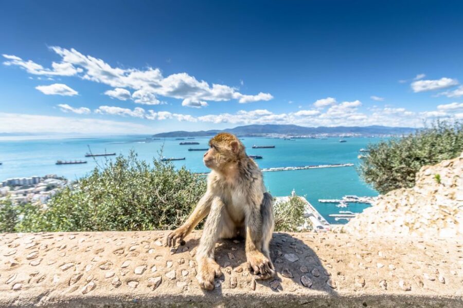 From Malaga and Costa del Sol: Gibraltar Shopping Tour - Food, bags, and comfort: the practical stuff that affects your day