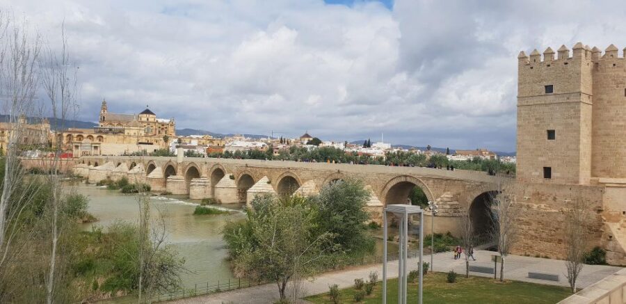 From Malaga: Cordoba Day Trip and Mosque-Cathedral - Who This Trip Fits Best (and Who Should Skip It)