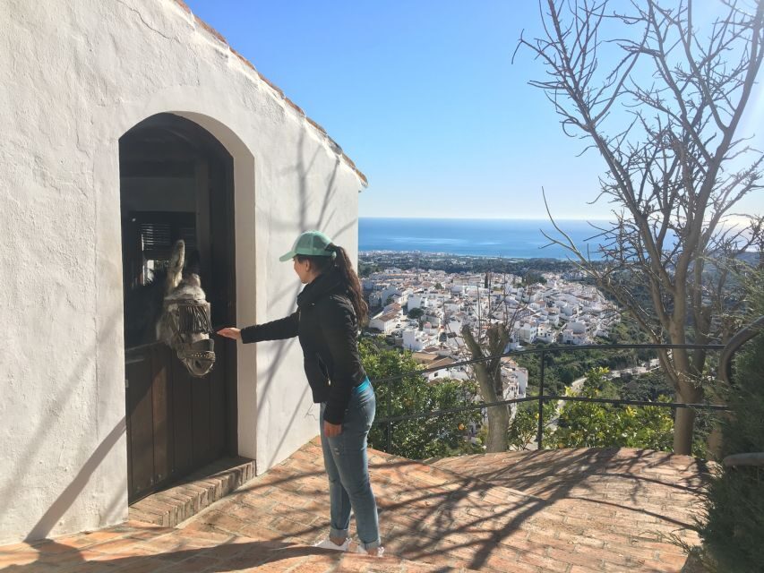 From Málaga: Frigiliana Hiking Tour with Wine & Appetizers - Avocado plantations and a village walk before the big scenery