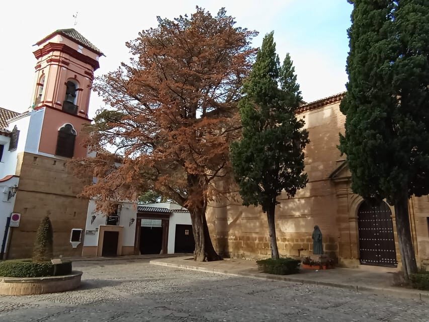 From Malaga: private tour Ronda and Setenil de las Bodegas - Should You Book This Private Ronda and Setenil Day Trip?