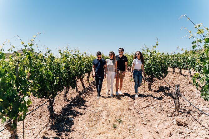 From Malaga: Ronda, Wine & Olive Oil Tasting Premium Small Group - Lunch in Ronda: use your 1.5 hours wisely