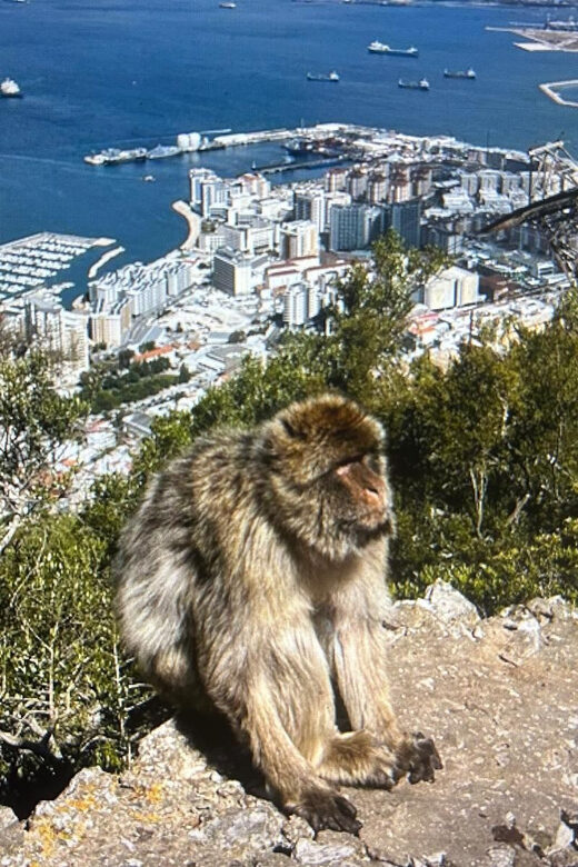 From Marbella/Estepona: VIP Gibraltar Tour Monkeys + Nature Reserve + Shopping - Cable Car Reality Check: Closed for Maintenance