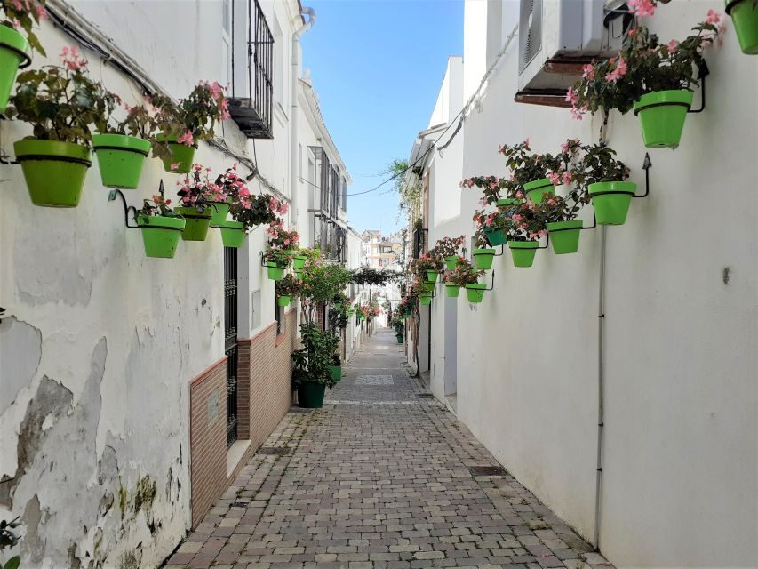 From Marbella: Guided Private Trip to Gibraltar and Estepona - Should you book it?