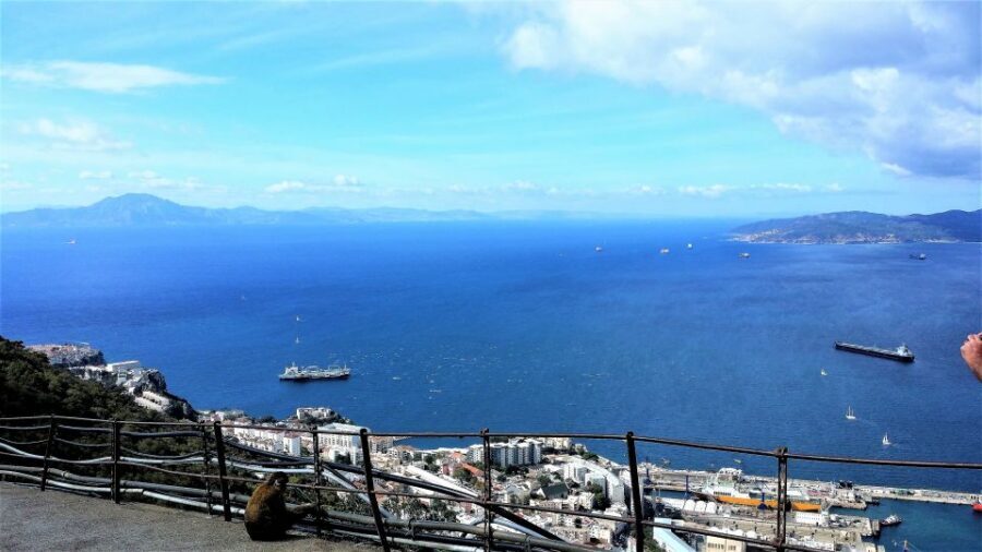 From Marbella: Guided Private Trip to Gibraltar and Estepona - Comfortable transportation and pacing over an 8-hour day