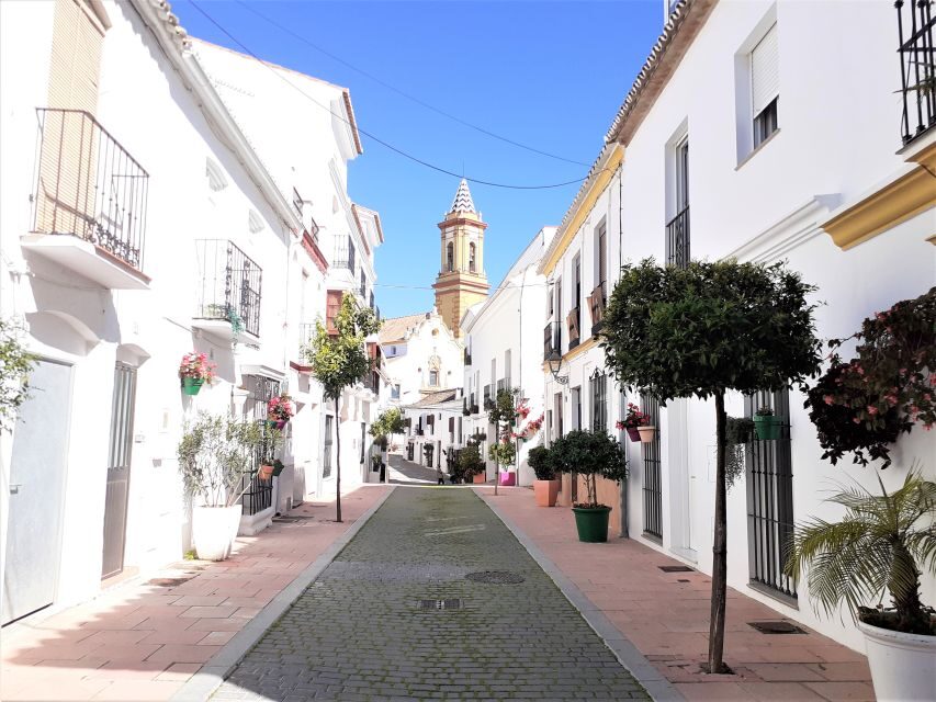 From Marbella: Guided Private Trip to Gibraltar and Estepona - Price and value: is $700 per person worth it?