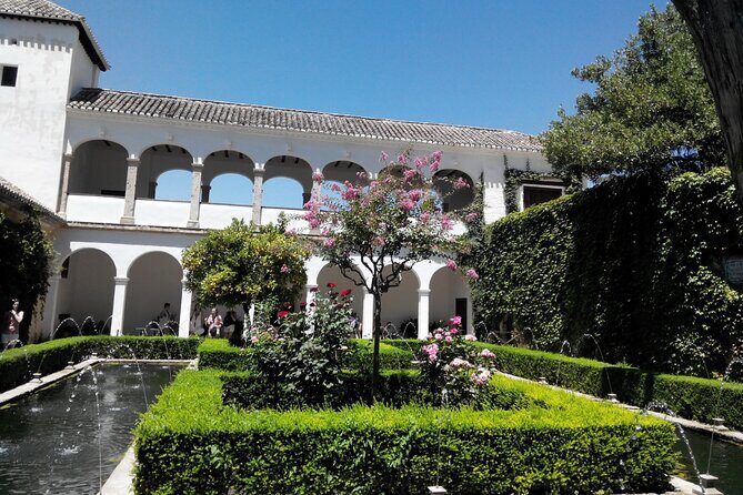 Full-Day Trip to Granada from Malaga with Private Guide - Mercado San Agustín: eat like a local without turning it into a food tour