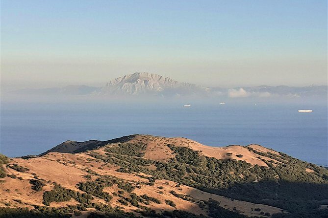 Gibraltar private tour from Marbella or Malaga - Time for Gibraltar Promenade and Shopping: Plan Around a Rock-Focused Itinerary