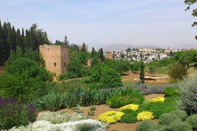 Granada Full Day Tour From Malaga - Price and value: is $126.16 a fair deal?