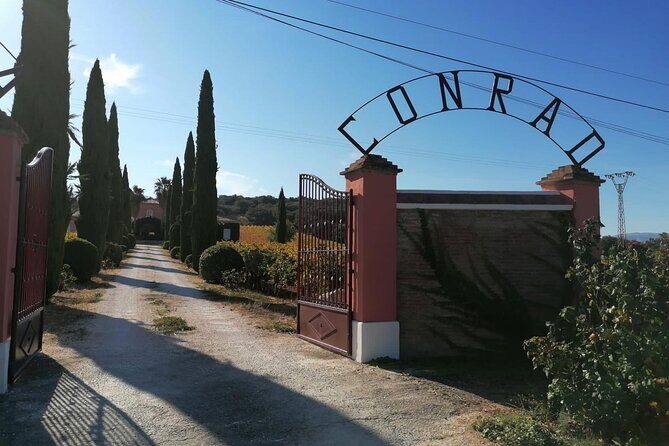 Guided Cellar Tour and wine tasting - Key Highlights