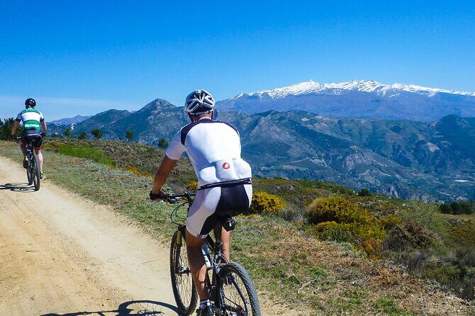 Guided Mountain Bike Adventure - Key Highlights You’ll Actually Care About