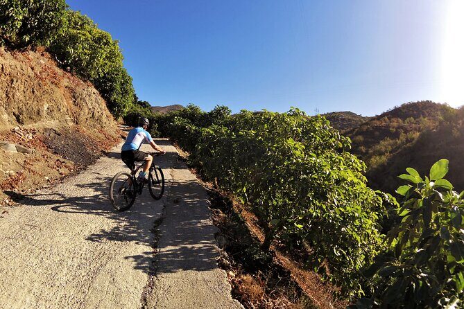 Guided Mountain Bike Adventure - Bikes, Timing, and Pacing: How 5 Hours Works in Real Life