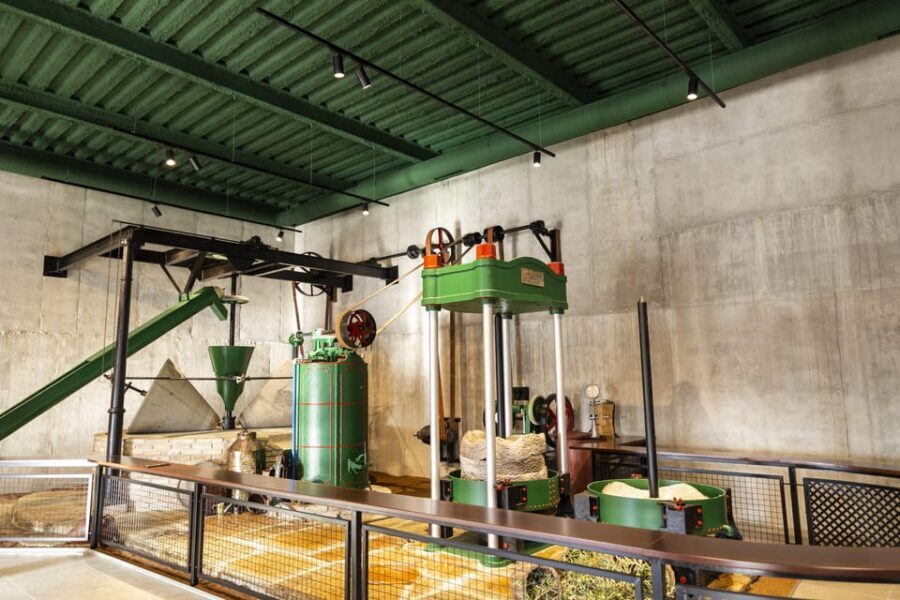 Guided tour and oil tasting at the Aceites Molisur factory - Production area walk-through: from reception to storage