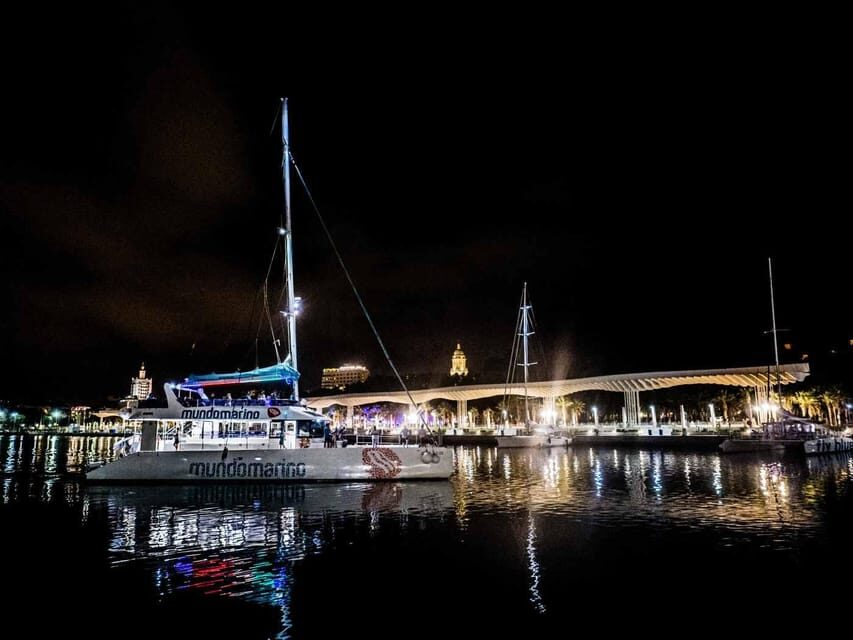 Malaga: A Sea of Stars Nighttime Stargazing Catamaran Tour - Stargazing From the Port of Malaga: What the “Sea of Stars” Really Means