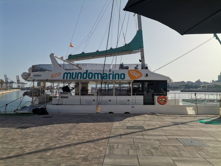 Malaga: A Sea of Stars Nighttime Stargazing Catamaran Tour - What You’ll See: Constellations and Night-Sky Viewing Over Water