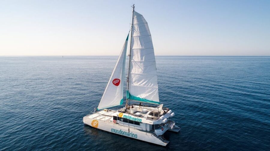Malaga: A Sea of Stars Nighttime Stargazing Catamaran Tour - Language, Audio, and Comfort: How to Make It Work for You