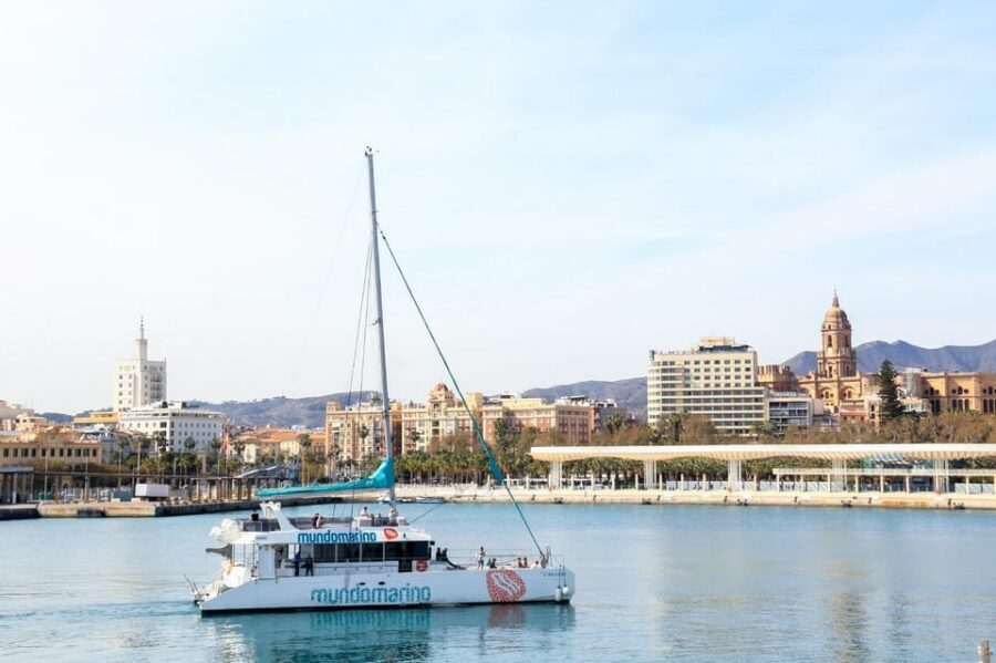 Malaga: A Sea of Stars Nighttime Stargazing Catamaran Tour - Should You Book the Malaga Sea of Stars Catamaran?