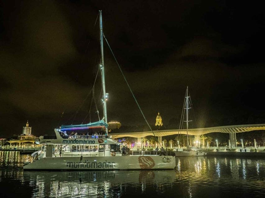 Malaga: A Sea of Stars Nighttime Stargazing Catamaran Tour - The Catamaran Experience: Cava, Music, and the On-Board Bar
