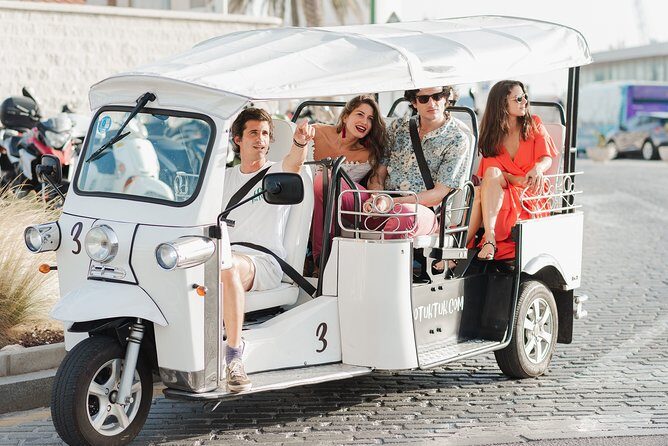 Malaga Expert Tour with Local Guide in Eco Tuk Tuk Private - La Farola lighthouse and La Malagueta Beach