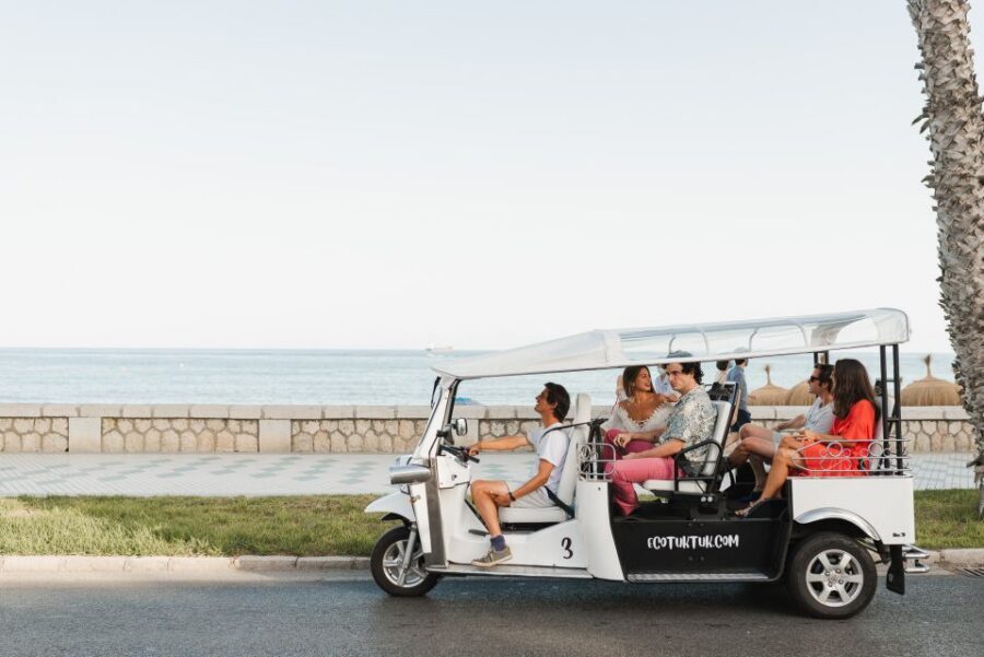 Malaga: Private City Tour by Eco Tuk Tuk - Price and Value: What $28 Per Person Buys You