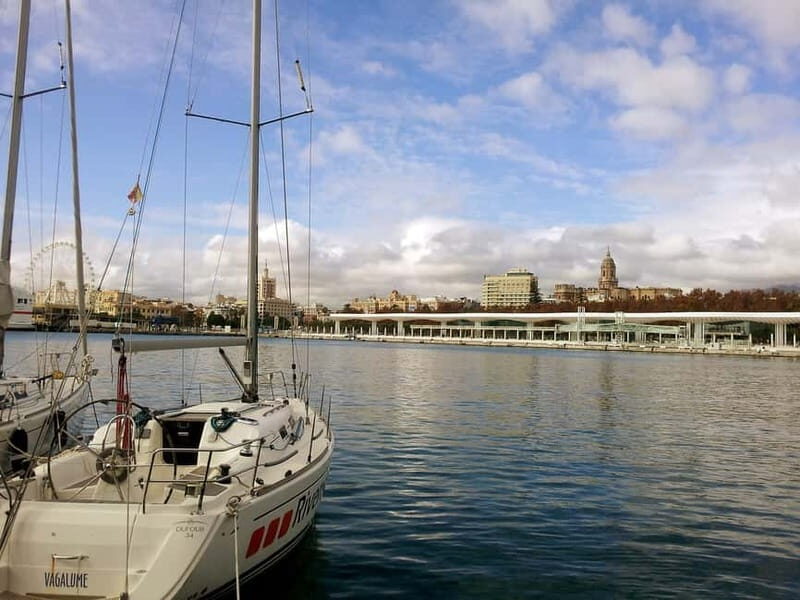 Malaga: Private Walking Tour with Official Guide - Your options in Málaga: old town architecture to Roman theater and Alcazaba