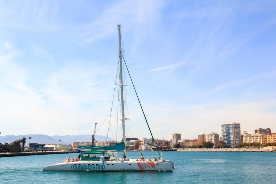 Malaga: Sailing Catamaran with Swimming and Paella Lunch - Lunch On Board: Pork Paella, Fresh Salad, Bread, and Fruit