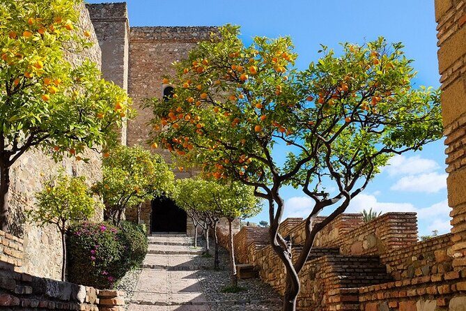 Malaga Super Tour - Plaza de la Merced: Your Orientation Moment in Malaga
