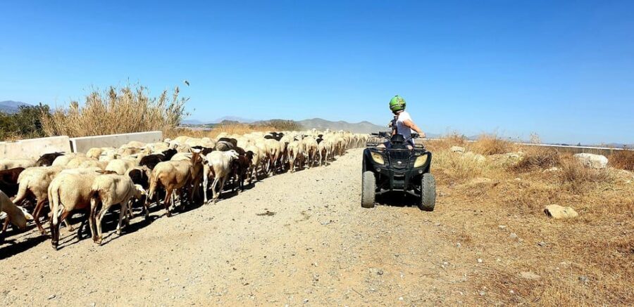 Málaga: Tour Off-Road 1-Hour Solo All-Terrain Quad Adventure - Solo quad rules: one rider per quad, with a twist