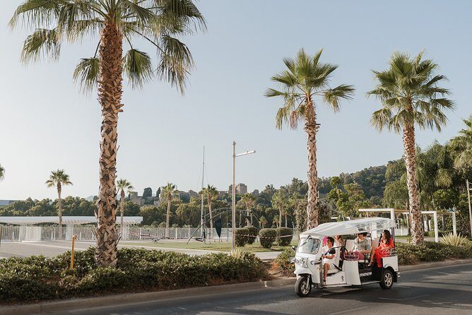 Malaga Welcome Tour with Local Guide in Eco Tuk Tuk Private - Getting Oriented Fast: The Fixed Meeting Point and Loop Route
