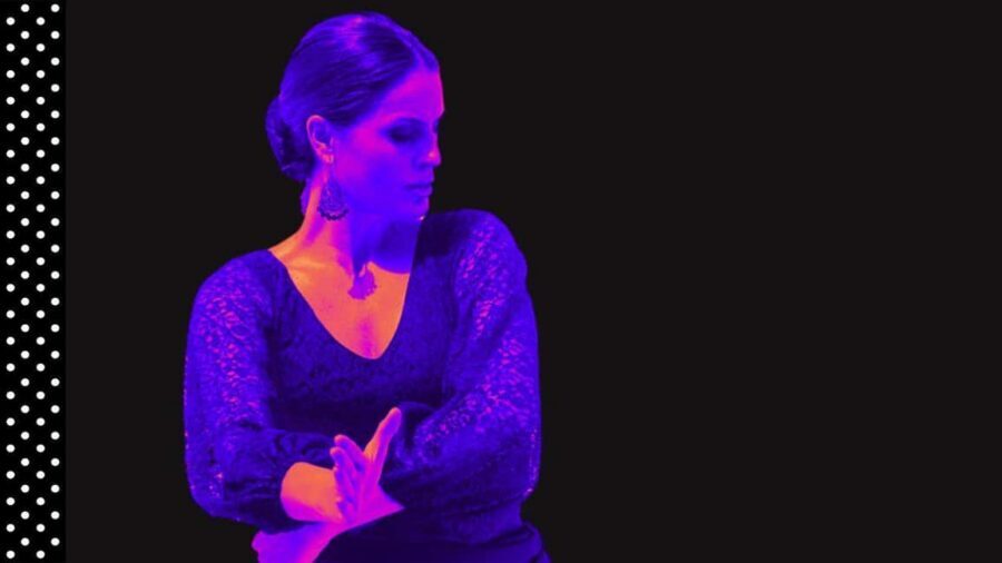 Marbella: Flamenco Dance Private Class To Learn a Choreo - Key highlights at a glance